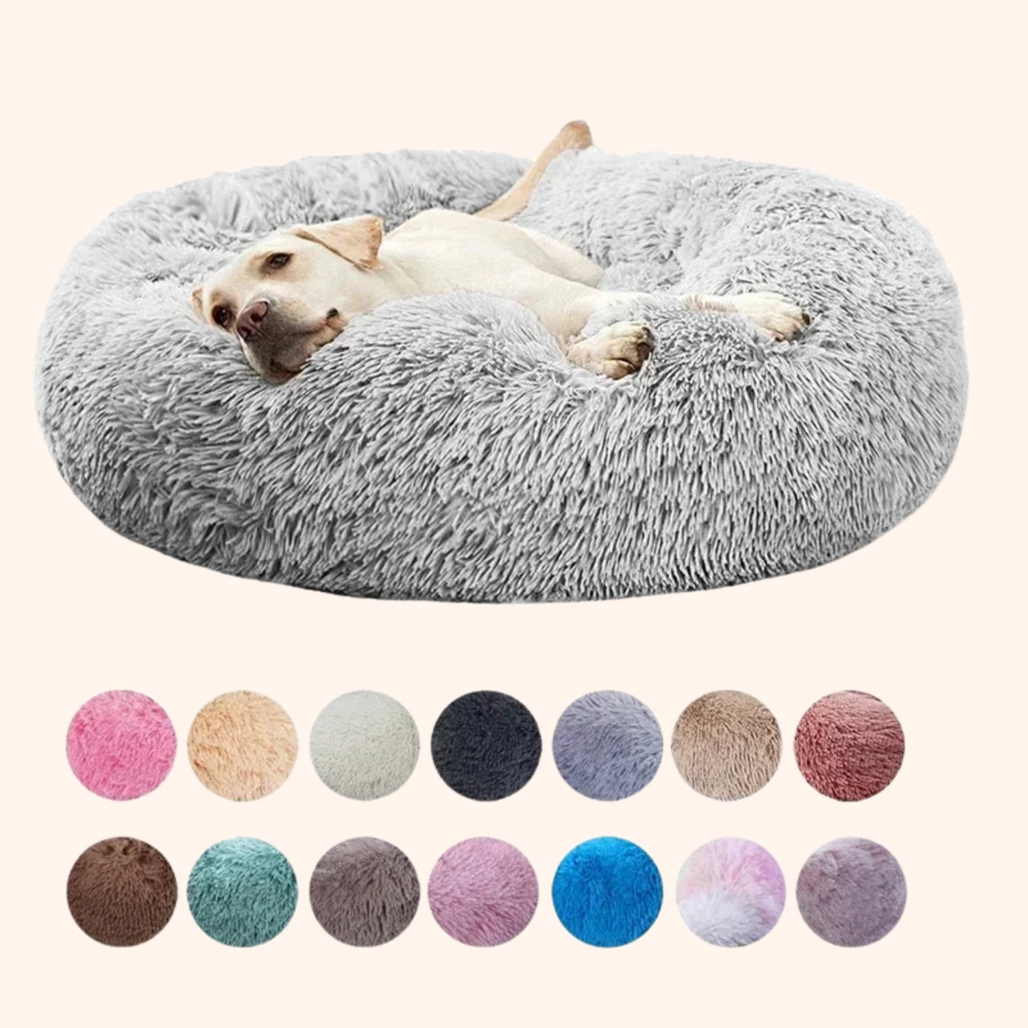 Dog & Cat Beds