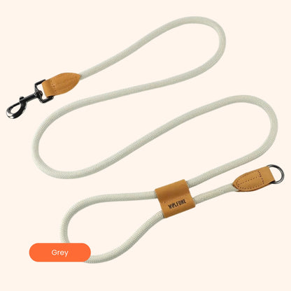 2 in 1 Hands Free Dog Leash - 1.8m